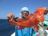 鬼カサゴ良型41cm、御前崎沖