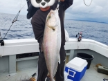 天秤釣り（こませ釣り）