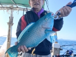 天秤釣り（こませ釣り）