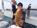 5/18アコウ