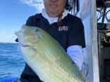 天秤釣り（こませ釣り）