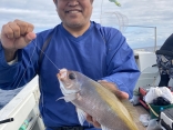 天秤釣り（コマセ釣り）