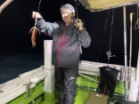 白いか