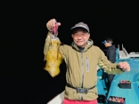 アオリイカ、ナイトティップラン