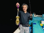 アオリイカ、ナイトティップラン