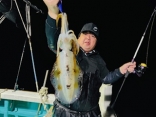 アオリイカ、ナイトティップラン