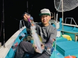 アオリイカ釣り　ティップラン