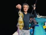 アオリイカ、ナイトティップラン