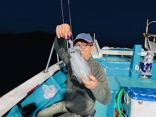 アオリイカ釣り　ティップラン