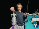 アオリイカ、ナイトティップラン