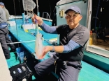 アオリイカ釣り　ティップラン