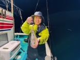 アオリイカ、ナイトティップラン