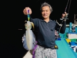 アオリイカ、ナイトティップラン