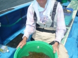 初めて　やって　７枚　釣りました