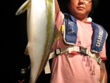 ヒラマサ63ｃｍ