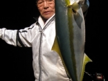 ヒラマサ63ｃｍ