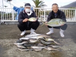 手塚様・高橋様シマアジ3,5ｋｇ２日間の釣果