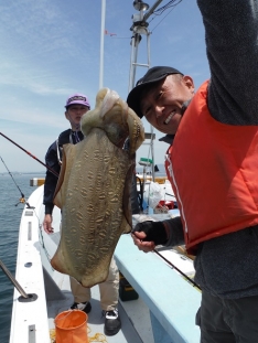 コウイカ 魚図鑑 つりー
