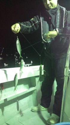 藤義丸 シルバー 舟手槌 小 第二藤義丸（新潟 岩船港）｜つ