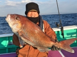 真鯛6.3kg