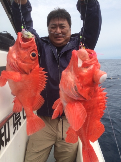タイセイヨウアカウオ Rose Fish Japaneseclass Jp