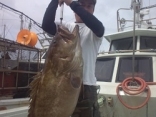 2015年６月１４日神田さんGの釣果 アラ１７kg
