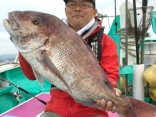 真鯛 9.6kg