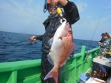 真鯛　１．６ｋｇ