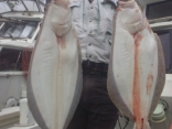 苅田町 潮下さんの釣果●ヒラメ４kg他