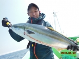 ワラサ　５．２ｋｇ