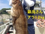 初アラ釣りの鍋島さん●アラ１２kg