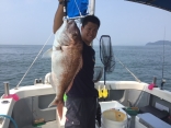 ２０１６．８．５　タイラバ釣果７０ｃｍ