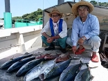 藤井さん・森崎さん２名の釣果●ヒラマサ７kg～５kgを７尾