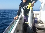 船釣り初挑戦の桜井さんがヒラマサ７kgを２尾上げました。
