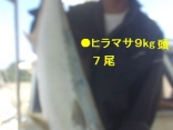 伊万里市横田さん１名の釣果●ヒラマサ９kg迄を７尾