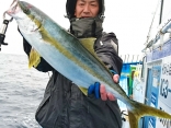 ヒラマサ