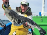 トラフグ 5.5kg