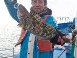 良型アイナメ
