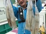 ヤリイカ