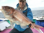 真鯛 4.6kg