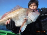 中鯛　３．３ｋｇ