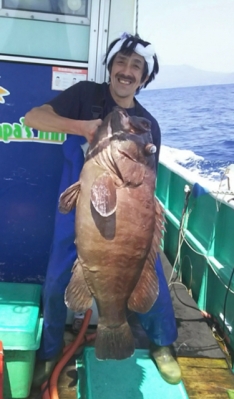 マハタ 魚図鑑 つりー