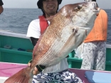 真鯛7.2kg