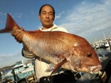 写真の大鯛７.０５ｋｇ！なかなか出会えるものではありません