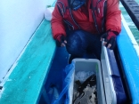 貸竿で釣りました
