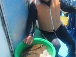 貸竿　初心者です　釣りました