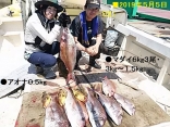 ■５/５(日)釣果熊本県２名で ●マダイ６kg３尾・３kg～１.５kg４尾