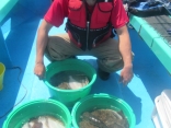 ３人分です