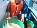 貸竿で　初めてで　釣りました