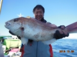 中鯛　３．３ｋｇ